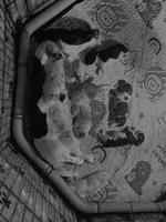 processed/f301f6b8-f44a-42fc-bf01-696184bc5be9/facility/593111cc-7eda-4251-8905-cc0d3506040a