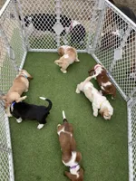 processed/f301f6b8-f44a-42fc-bf01-696184bc5be9/facility/6323d6f4-e5af-4ac3-a9d3-e93c192983b7