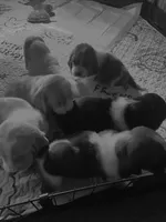 processed/f301f6b8-f44a-42fc-bf01-696184bc5be9/facility/637c8314-762c-4378-a683-8c53d201d8f5