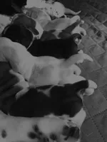 processed/f301f6b8-f44a-42fc-bf01-696184bc5be9/facility/9dce709c-f075-42cd-bc6f-e2367ec2ff64