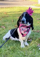 processed/f301f6b8-f44a-42fc-bf01-696184bc5be9/facility/bd834524-8fc9-4d37-a49c-b15ce2274f9c