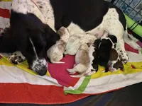 processed/f301f6b8-f44a-42fc-bf01-696184bc5be9/facility/c0113b76-5c15-447c-a76f-a5679a432015