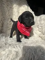 processed/f3059034-f38d-4925-87ba-6ffe9c185adc/listing/857e9c85-45a6-4b43-92f1-42c95d4425bd/f36b140c-b6b5-413b-a367-f5787df5d50a