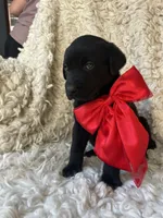 processed/f3059034-f38d-4925-87ba-6ffe9c185adc/listing/cc82df37-1a6a-4df3-a565-75ba6aab8a87/698d4b0f-6d24-4808-a5e4-f7deb4f13756