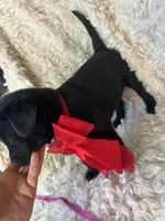 processed/f3059034-f38d-4925-87ba-6ffe9c185adc/listing/cc82df37-1a6a-4df3-a565-75ba6aab8a87/bd8be528-5a72-4eeb-b140-3b3b7fa15d71