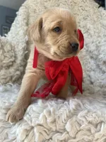 processed/f3059034-f38d-4925-87ba-6ffe9c185adc/listing/efd56d07-6d26-4a60-8acc-9cca61af06a4/3b225687-3b82-49d4-80b5-def6e719c7ee