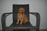 processed/f3067f58-880d-4bca-966f-d80ae0219773/listing/65b1051e-75c7-47ba-8fc8-702818993b2d/04b2173b-937e-4321-ad29-c4591ad0dd15