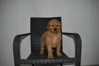 processed/f3067f58-880d-4bca-966f-d80ae0219773/listing/65b1051e-75c7-47ba-8fc8-702818993b2d/451de5ca-d57b-4e85-9867-d0d2e9701c31