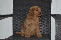 processed/f3067f58-880d-4bca-966f-d80ae0219773/listing/7700568d-2616-4101-8366-2c2cb02e04be/6c837450-e434-4360-9b0d-30495a29299a