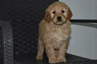 processed/f3067f58-880d-4bca-966f-d80ae0219773/listing/a290187b-e43f-4555-8879-3845577fc252/146f3181-b401-466b-8beb-e9c851277d53