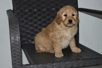 processed/f3067f58-880d-4bca-966f-d80ae0219773/listing/a290187b-e43f-4555-8879-3845577fc252/8281a0e8-24bf-4f54-b2e9-7edbe45d9bfe