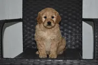 processed/f3067f58-880d-4bca-966f-d80ae0219773/listing/a290187b-e43f-4555-8879-3845577fc252/d8abde16-f2d3-4eff-ad24-bdfe9b4d95b2