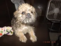 processed/f306c71b-6ea6-4645-9571-e5b63086de8e/listing/307e25df-5d06-49e6-8c71-43bcb89c3d64/0643b295-9a17-4794-b37a-52488f2f2724