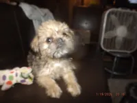 processed/f306c71b-6ea6-4645-9571-e5b63086de8e/listing/307e25df-5d06-49e6-8c71-43bcb89c3d64/1e20e899-a3ec-473f-a958-421e4c2b8a6d