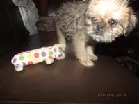 processed/f306c71b-6ea6-4645-9571-e5b63086de8e/listing/307e25df-5d06-49e6-8c71-43bcb89c3d64/21ef5751-125c-41db-b2a0-726075d059c3