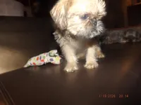 processed/f306c71b-6ea6-4645-9571-e5b63086de8e/listing/307e25df-5d06-49e6-8c71-43bcb89c3d64/3b43d9cc-f0d6-4bb7-9b9b-9a14130e7d4e