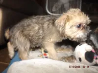 processed/f306c71b-6ea6-4645-9571-e5b63086de8e/listing/307e25df-5d06-49e6-8c71-43bcb89c3d64/81d61265-c19b-4cce-8c3e-724733f59667