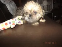 processed/f306c71b-6ea6-4645-9571-e5b63086de8e/listing/307e25df-5d06-49e6-8c71-43bcb89c3d64/84034063-d39f-4fd4-a654-a4797a341fe3