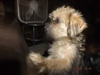 processed/f306c71b-6ea6-4645-9571-e5b63086de8e/listing/307e25df-5d06-49e6-8c71-43bcb89c3d64/a5b7fa53-26bd-4192-826b-9eec84d1a885