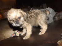 processed/f306c71b-6ea6-4645-9571-e5b63086de8e/listing/307e25df-5d06-49e6-8c71-43bcb89c3d64/c1f5ee76-f7cc-4231-b68b-cf5839748a35