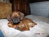 processed/f306c71b-6ea6-4645-9571-e5b63086de8e/listing/5890c77f-b11c-444e-aff4-d21343705edc/16aea187-6d89-4ceb-b10d-67efceaa24d2