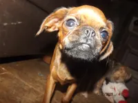 processed/f306c71b-6ea6-4645-9571-e5b63086de8e/listing/5890c77f-b11c-444e-aff4-d21343705edc/5722ed69-f5c4-43b8-987a-11054326f7a2