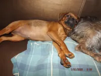 processed/f306c71b-6ea6-4645-9571-e5b63086de8e/listing/5890c77f-b11c-444e-aff4-d21343705edc/60810f86-d16a-44f1-b48a-8019c1a94aba