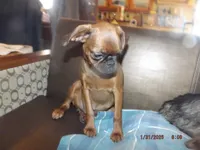 processed/f306c71b-6ea6-4645-9571-e5b63086de8e/listing/5890c77f-b11c-444e-aff4-d21343705edc/ce904a97-a85a-42c4-bde9-15b842610fcc