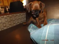 processed/f306c71b-6ea6-4645-9571-e5b63086de8e/listing/5890c77f-b11c-444e-aff4-d21343705edc/df98d253-08a5-4344-bcfc-58f390612e9d