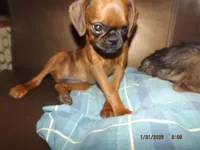 processed/f306c71b-6ea6-4645-9571-e5b63086de8e/listing/5890c77f-b11c-444e-aff4-d21343705edc/f42b348f-d71a-4b5b-90b3-ec1ab5764322