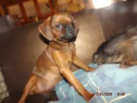 processed/f306c71b-6ea6-4645-9571-e5b63086de8e/listing/5890c77f-b11c-444e-aff4-d21343705edc/f6c9e759-ebda-420b-bf74-41986ac42d97