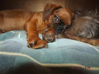 processed/f306c71b-6ea6-4645-9571-e5b63086de8e/listing/5890c77f-b11c-444e-aff4-d21343705edc/fe0a25d8-a4d0-4855-befe-42e5400c855a