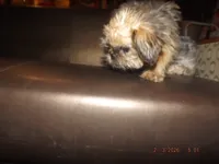 processed/f306c71b-6ea6-4645-9571-e5b63086de8e/listing/70bd4b83-63fd-4757-ad4b-54395bf1129b/108331c0-4424-418b-b6c3-2a076b983e26