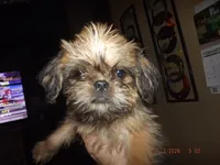 processed/f306c71b-6ea6-4645-9571-e5b63086de8e/listing/70bd4b83-63fd-4757-ad4b-54395bf1129b/2b5f17ed-f8c4-4d8f-a069-972938c522e9