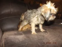 processed/f306c71b-6ea6-4645-9571-e5b63086de8e/listing/70bd4b83-63fd-4757-ad4b-54395bf1129b/43dd225e-1d74-4e86-9939-1751fb4044c8