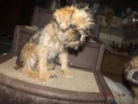 processed/f306c71b-6ea6-4645-9571-e5b63086de8e/listing/70bd4b83-63fd-4757-ad4b-54395bf1129b/7b39a3aa-ffd8-451a-84da-3b2c16a3709f