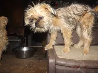 processed/f306c71b-6ea6-4645-9571-e5b63086de8e/listing/70bd4b83-63fd-4757-ad4b-54395bf1129b/7d9889d6-9d5d-4122-bb8a-b554922fd22b