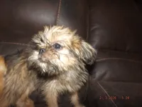 processed/f306c71b-6ea6-4645-9571-e5b63086de8e/listing/70bd4b83-63fd-4757-ad4b-54395bf1129b/ed714b36-eb2f-4c9c-891c-eea84961263a