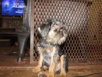 processed/f306c71b-6ea6-4645-9571-e5b63086de8e/listing/74614f83-7bf9-4af5-a67c-a81e2ef7e551/07566705-3721-4b0e-af66-3c557b61ed81