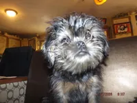 processed/f306c71b-6ea6-4645-9571-e5b63086de8e/listing/74614f83-7bf9-4af5-a67c-a81e2ef7e551/26bdecdd-a2cd-495f-837a-82aa6bf7f1eb