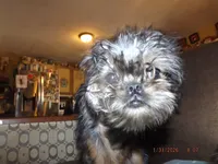 processed/f306c71b-6ea6-4645-9571-e5b63086de8e/listing/74614f83-7bf9-4af5-a67c-a81e2ef7e551/9e6648ce-39f7-4740-980d-9ba4f82d387a