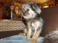 processed/f306c71b-6ea6-4645-9571-e5b63086de8e/listing/74614f83-7bf9-4af5-a67c-a81e2ef7e551/aabac8cd-4ad2-491f-b4d0-29f7ef201cc5