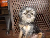 processed/f306c71b-6ea6-4645-9571-e5b63086de8e/listing/74614f83-7bf9-4af5-a67c-a81e2ef7e551/f3c0c1d4-e40d-42f4-9070-64f5bfa90087