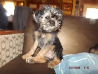 processed/f306c71b-6ea6-4645-9571-e5b63086de8e/listing/74614f83-7bf9-4af5-a67c-a81e2ef7e551/f5665eed-8990-45d0-afac-f37fe2f702ee