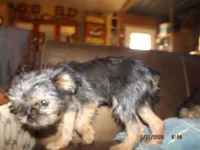 processed/f306c71b-6ea6-4645-9571-e5b63086de8e/listing/74614f83-7bf9-4af5-a67c-a81e2ef7e551/fb3af348-2c23-44d1-a9fd-07767ffce06b