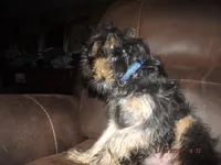 processed/f306c71b-6ea6-4645-9571-e5b63086de8e/listing/8c437664-8c20-4693-a31b-bb7cca01ae46/66ef01dd-88d1-47b3-9980-75a30c4b41a5