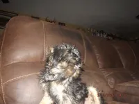 processed/f306c71b-6ea6-4645-9571-e5b63086de8e/listing/8c437664-8c20-4693-a31b-bb7cca01ae46/6a73a136-720e-4b9a-a7a3-0667652d36ca