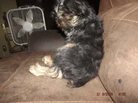 processed/f306c71b-6ea6-4645-9571-e5b63086de8e/listing/8c437664-8c20-4693-a31b-bb7cca01ae46/786a522c-55aa-4cf1-9326-d752ca3e6957