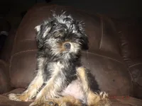 processed/f306c71b-6ea6-4645-9571-e5b63086de8e/listing/8c437664-8c20-4693-a31b-bb7cca01ae46/8b27f7f9-deef-4c53-875a-090e055f77fb