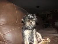 processed/f306c71b-6ea6-4645-9571-e5b63086de8e/listing/8c437664-8c20-4693-a31b-bb7cca01ae46/f5728928-8a42-451f-87cc-ea3a9ace26e2